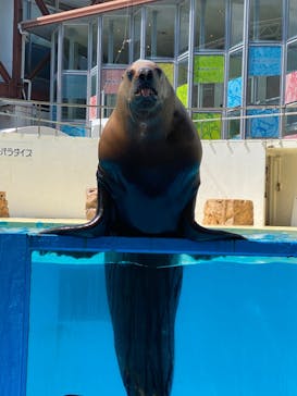 伊豆・三津シーパラダイスに投稿された画像（2022/6/12）