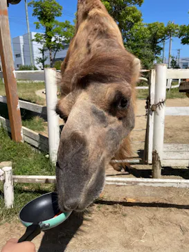 神戸どうぶつ王国に投稿された画像（2022/6/12）