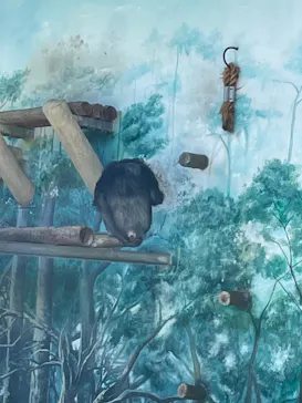 天王寺動物園に投稿された画像（2022/6/12）