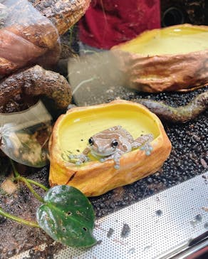 カワスイ 川崎⽔族館に投稿された画像（2022/6/12）