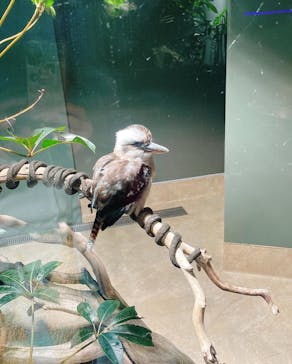 カワスイ 川崎⽔族館に投稿された画像（2022/6/12）