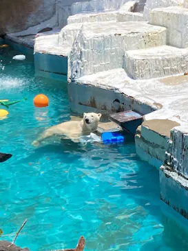 天王寺動物園に投稿された画像（2022/6/12）