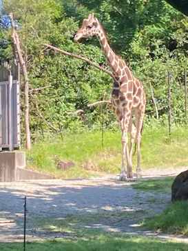 天王寺動物園に投稿された画像（2022/6/12）