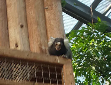 神戸どうぶつ王国に投稿された画像（2022/6/12）