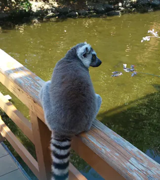 神戸どうぶつ王国に投稿された画像（2022/6/12）