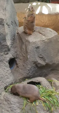 神戸どうぶつ王国に投稿された画像（2022/6/12）