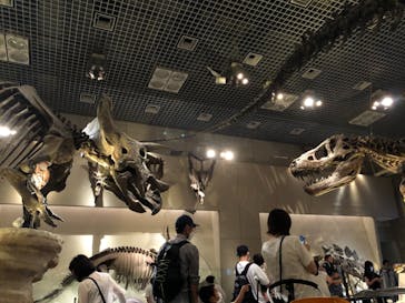 国立科学博物館に投稿された画像（2022/6/12）