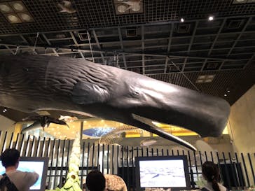 国立科学博物館に投稿された画像（2022/6/12）