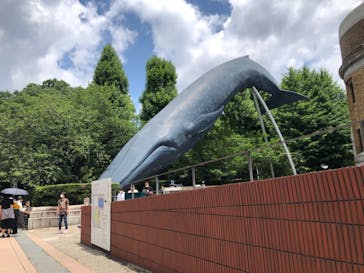 国立科学博物館に投稿された画像（2022/6/12）