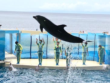 新江ノ島水族館に投稿された画像（2022/6/12）