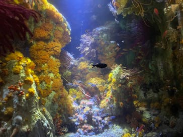 サンシャイン水族館に投稿された画像（2022/6/12）