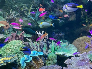 サンシャイン水族館に投稿された画像（2022/6/12）
