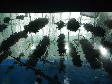 仙台うみの杜水族館に投稿された画像（2022/6/12）