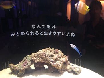横浜開運水族館 フォーチュンアクアリウムに投稿された画像（2022/6/12）