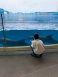 新江ノ島水族館に投稿された画像（2022/6/13）