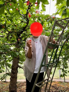 果実の里 原田農園に投稿された画像（2022/6/12）