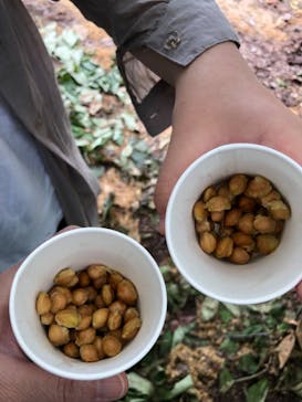 果実の里 原田農園に投稿された画像（2022/6/12）