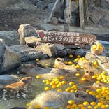 伊豆シャボテン動物公園に投稿された画像（2022/1/5）