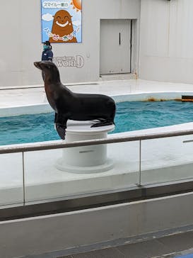 鴨川シーワールドに投稿された画像（2022/6/13）