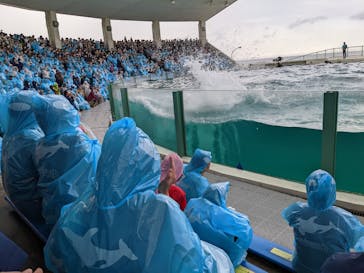 鴨川シーワールドに投稿された画像（2022/6/13）