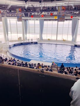 アクアワールド茨城県大洗水族館に投稿された画像（2022/6/13）