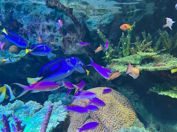 サンシャイン水族館に投稿された画像（2022/6/13）
