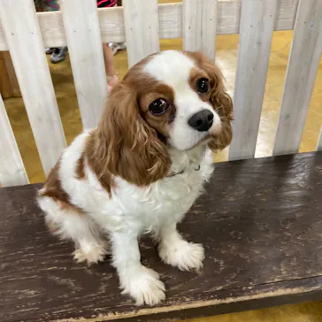 神戸どうぶつ王国に投稿された画像（2022/6/13）