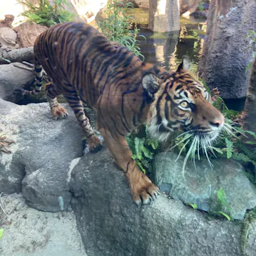 神戸どうぶつ王国に投稿された画像（2022/6/13）