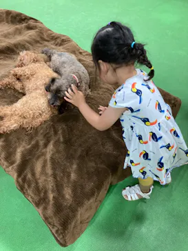 神戸どうぶつ王国に投稿された画像（2022/6/13）