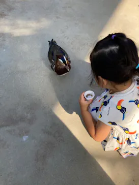 神戸どうぶつ王国に投稿された画像（2022/6/13）