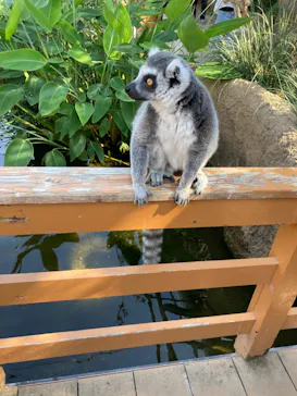 神戸どうぶつ王国に投稿された画像（2022/6/13）