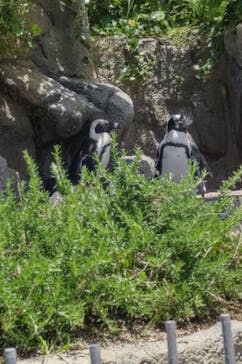 サンシャイン水族館に投稿された画像（2022/6/13）
