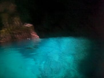 武藤潜水に投稿された画像（2022/6/13）