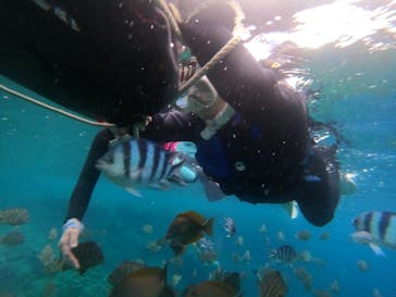 武藤潜水に投稿された画像（2022/6/13）