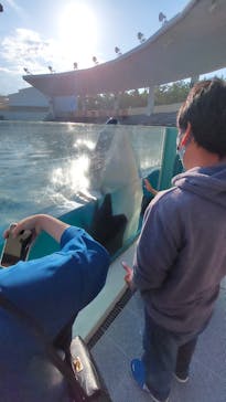 鴨川シーワールドに投稿された画像（2022/6/13）