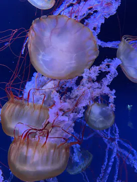 すみだ水族館に投稿された画像（2022/6/13）
