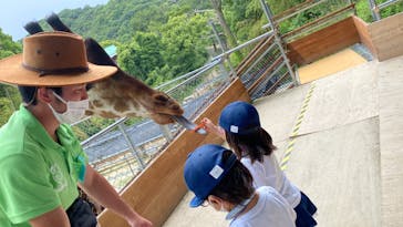 しろとり動物園に投稿された画像（2022/6/13）