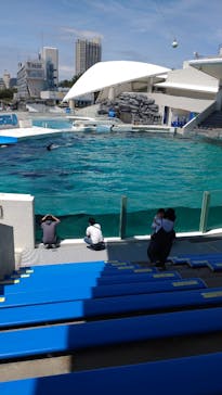 鴨川シーワールドに投稿された画像（2022/6/13）