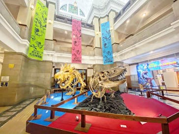 国立科学博物館　特別企画展「ポケモン化石博物館」に投稿された画像（2022/6/13）