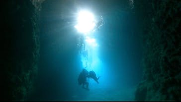 DIVING-SHOP SUNSに投稿された画像（2022/6/13）