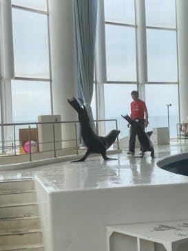 アクアワールド茨城県大洗水族館に投稿された画像（2022/6/13）