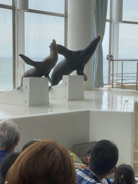 アクアワールド茨城県大洗水族館に投稿された画像（2022/6/13）