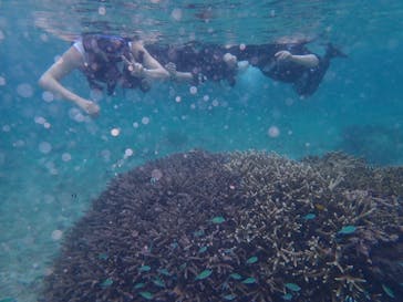 宮古島 ADVENTURE PiPi（ミヤコジマ アドベンチャー ピピ）に投稿された画像（2022/6/14）