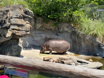 天王寺動物園に投稿された画像（2022/6/14）