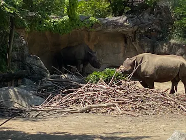 天王寺動物園に投稿された画像（2022/6/14）