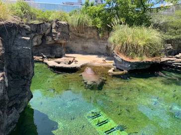 天王寺動物園に投稿された画像（2022/6/14）