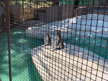 天王寺動物園に投稿された画像（2022/6/14）