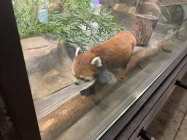 天王寺動物園に投稿された画像（2022/6/14）