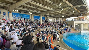 新江ノ島水族館に投稿された画像（2022/6/14）