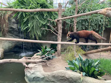 神戸どうぶつ王国に投稿された画像（2022/6/14）